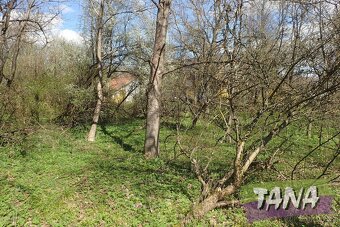 Na prodej zemědělská usedlost, 5490 m2 - Kobyly - Havlovice - 20
