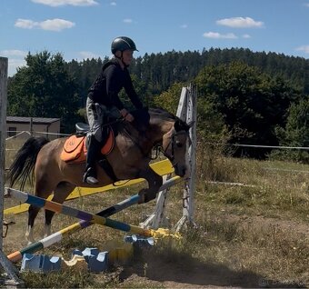 Pony kobylka kategorie S - 20