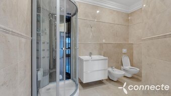 Velkorysý dům 9+kk s užitnou plochou 697 m2 Bezděkov u Žatc - 20