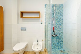 Prodej bytu 4+kk s terasou, sklepem a 2 garáž.místy Olomouc - 20