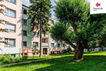 Prodej bytu 2+1 57 m2 Na Sídlišti, Hustopeče - 20