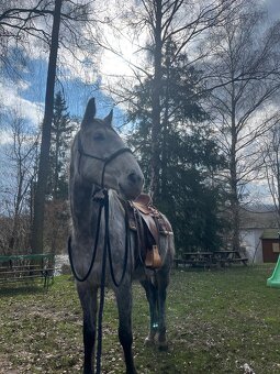 Docházka ,výuka ,pronájem - 20