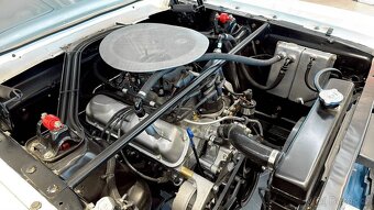 Ford Mustang Shelby GT350R Fastback 4.7 V8 - 20