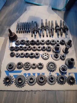 Prase 501/502 - 20