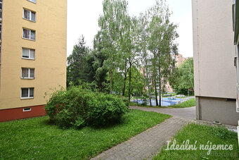Pronájem bytu 3+1, Dunajská, Starý Lískovec,  Kč/měs, 62 m2 - 20