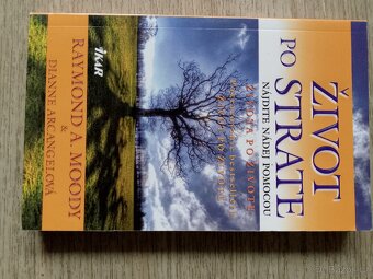 Duchovní a ezoterické knihy - 20