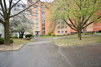 Pronájem bytu 2+1, Okrouhlá, Bohunice, 45 m2 - 20