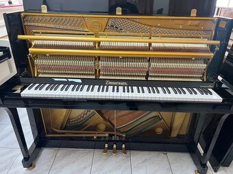 Zimmerman-C.Bechstein Z120 se zárukou 5 let, doprava v ceně. - 20