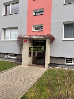 Byt 3+1 na sídlišti Špičák VÝRAZNÁ SLEVA - 20