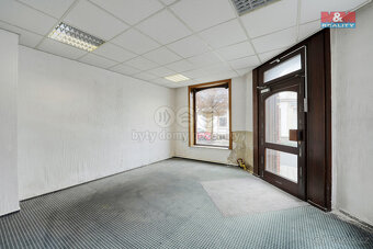 Prodej domu, Německo, Feldstraße 15, Falkenstein/Vogtland - 20