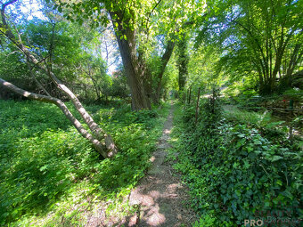 Prodej rekreační chaty s pěkným pozemkem, Olomouc, Droždín. - 20
