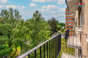 Prodej bytu 2+1, 53 m², Praha 3 - Žižkov, ul. Hartigova - 20