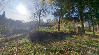 Rodinný dům v Letohradě - NOVÁ CENA - 20