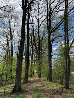 Prodám pozemky v katastrálním území Mníšek - 20