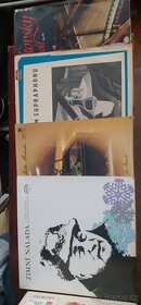 Gramofonové desky / Vinyl, Šelak - LP, singly, mix - 20