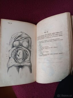 Jan Streng-Kniha BABICKÁ - 2