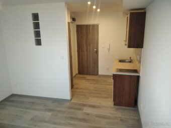 Pronájem byt 1+kk, 21m2, OSTROV - 2