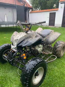 Bashan 250 bez TP - 2