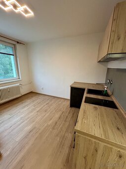 Pronájem 1+1 46m2, balkon/sklep Strakonice - 2