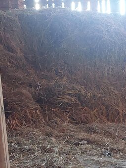 Seno - sláma - 2