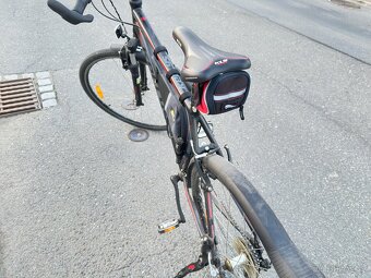 KELLY’S PHANATIC 21” - 2