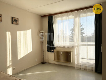 Velmi pěkný byt 1+1 s balkonem, 132028 - 2