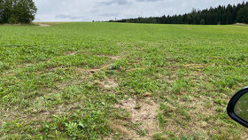 Stavební pozemek o výměře 3842m2 - 2