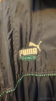 Puma bunda - 2