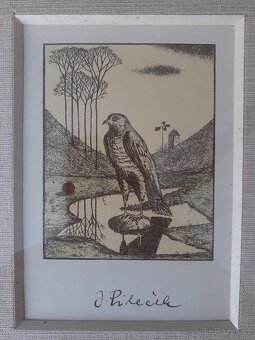 Grafika Jindřich Pileček - 2