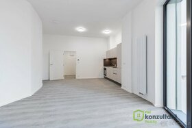 Pronájem byty 1+kk, 35 m2 - Brno - Veveří, ev.č. 00463 - 2