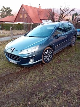 Peugeot 407 sw - 2