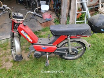 Moped - 2
