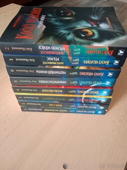 Kočičí válečníci - 2