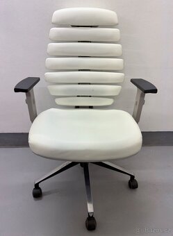 Kancelářská židle Mercury Fishbones - 2