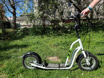 Dětská koloběžka Yedoo Wzoom 12" - max. nosnost 100kg - 2