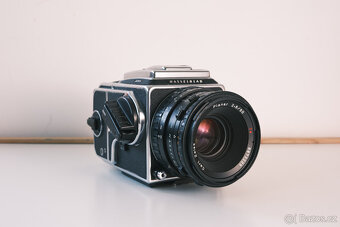 Hasselblad 501 C/M, 80mm CFE, A12 - 2