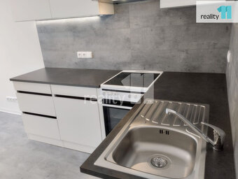 Pronájem bytu 1+1, 47 m2, po rekonstrukci, nezařízený, Praha - 2