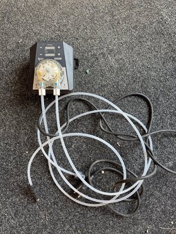 Davkovacka Aseko - 2