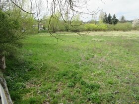 Vyschly rybník - 2