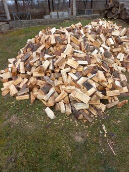 Palivové dřevo - 2
