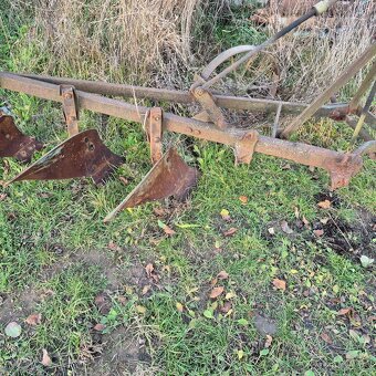 Pluh tříradličný - 2