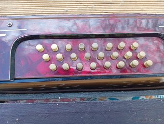 Hohner La Divina 48 Bass Accordion harmonika STAROZITNOST - 2