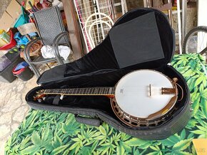PĚTISTRUNNÉ BANJO - 2