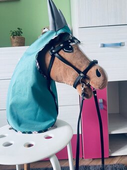 Hobby horse - 2