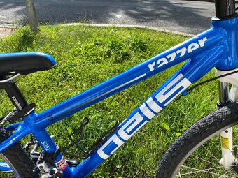 24" dětské horské kolo Pells Razzer - 2