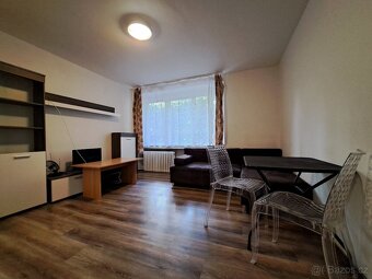 Pronájem 1+kk-zvýšené přízemí 28m², okno do zahrady. Šilingr - 2