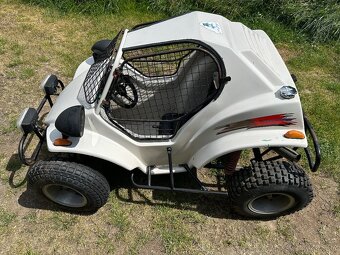 Na prodej Buggy - 2