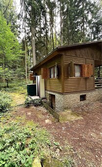 Prodej chaty – Permoník u Týna nad Vltavou (50 m od Lužnice) - 2