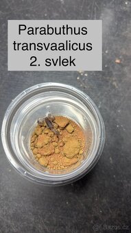 Štíři - výměna - 2