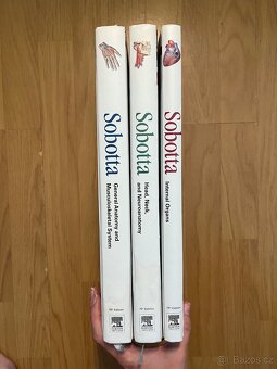 Sobotta Atlas of Human Anatomy, Sobottův anatomický atlas - 2